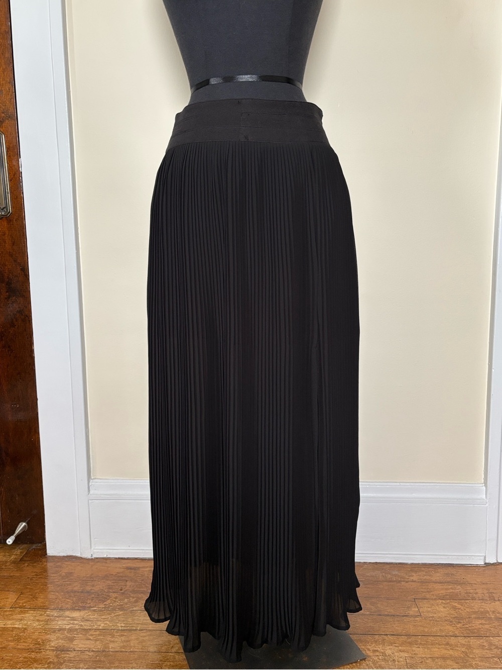 Endlesss Rose Sheer Pleated Black Maxi Skirt with Side Slit Lined Whimsigoth